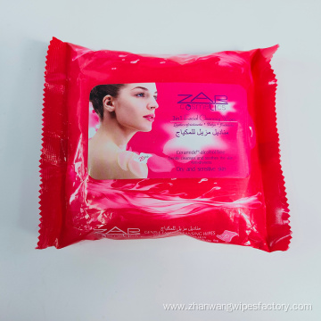 Wholesale Cleaning Adults Personal Wet Wipes Custom